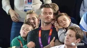 娱乐圈吃瓜好爸爸,揭秘明星爸爸们的育儿经与生活点滴